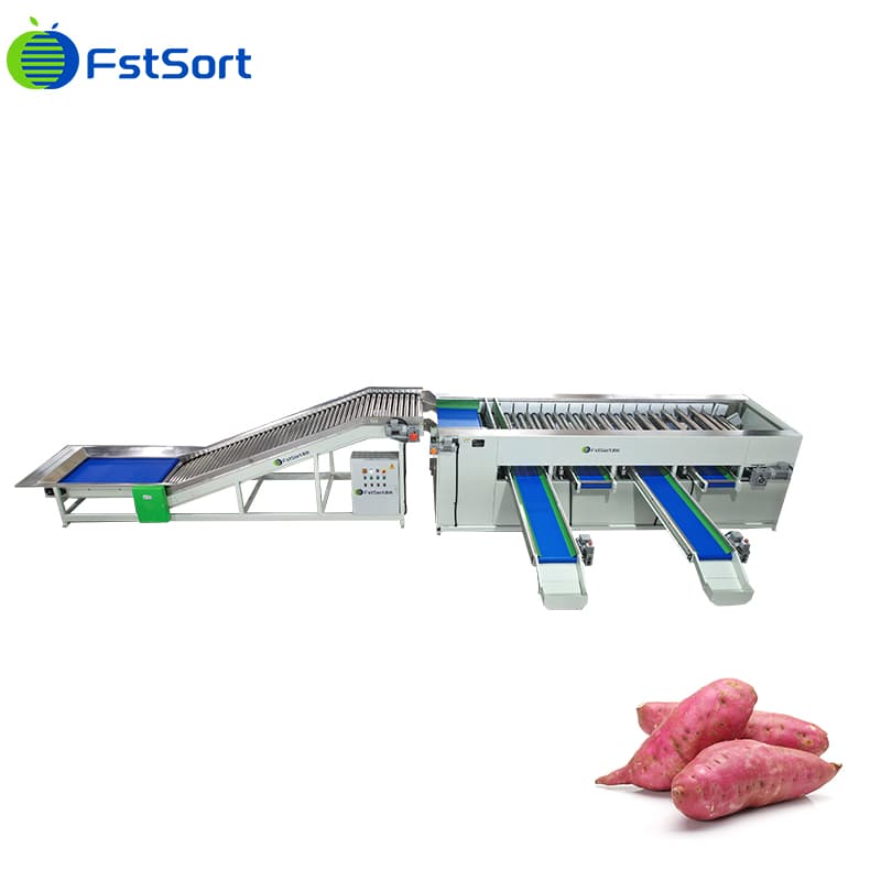images/1761129250718sweet potato processing equipment.jpg
